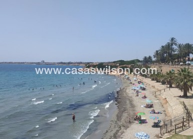 Sale - Apartment - Torrevieja - Punta prima