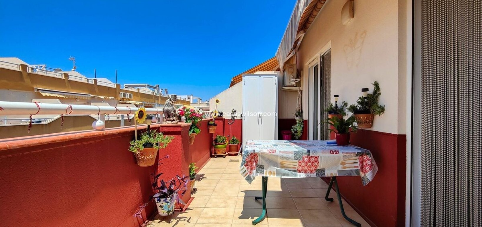 Sale - Appartement - Torrevieja - Costa Blanca