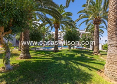 Venta - Apartamento - La Mata - Costa Blanca