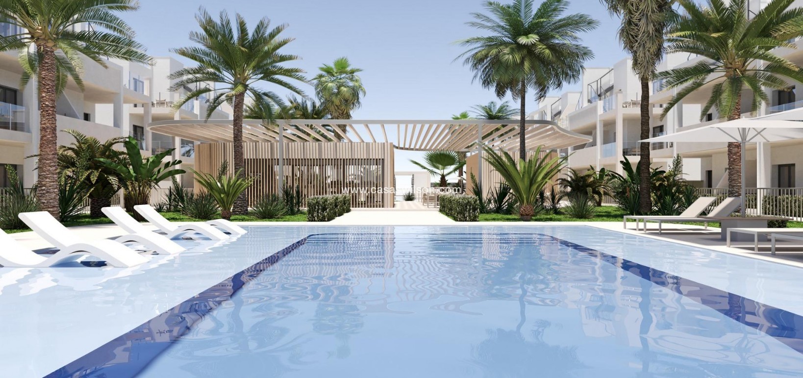 New Build - Appartement - Torre Pacheco - San Cayetano