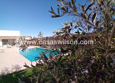 Venta - Chalet - Algorfa