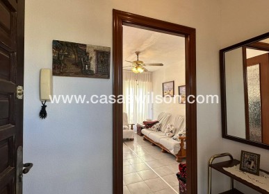 Venta - Apartamento - Torrevieja - Estacion De Autobuses