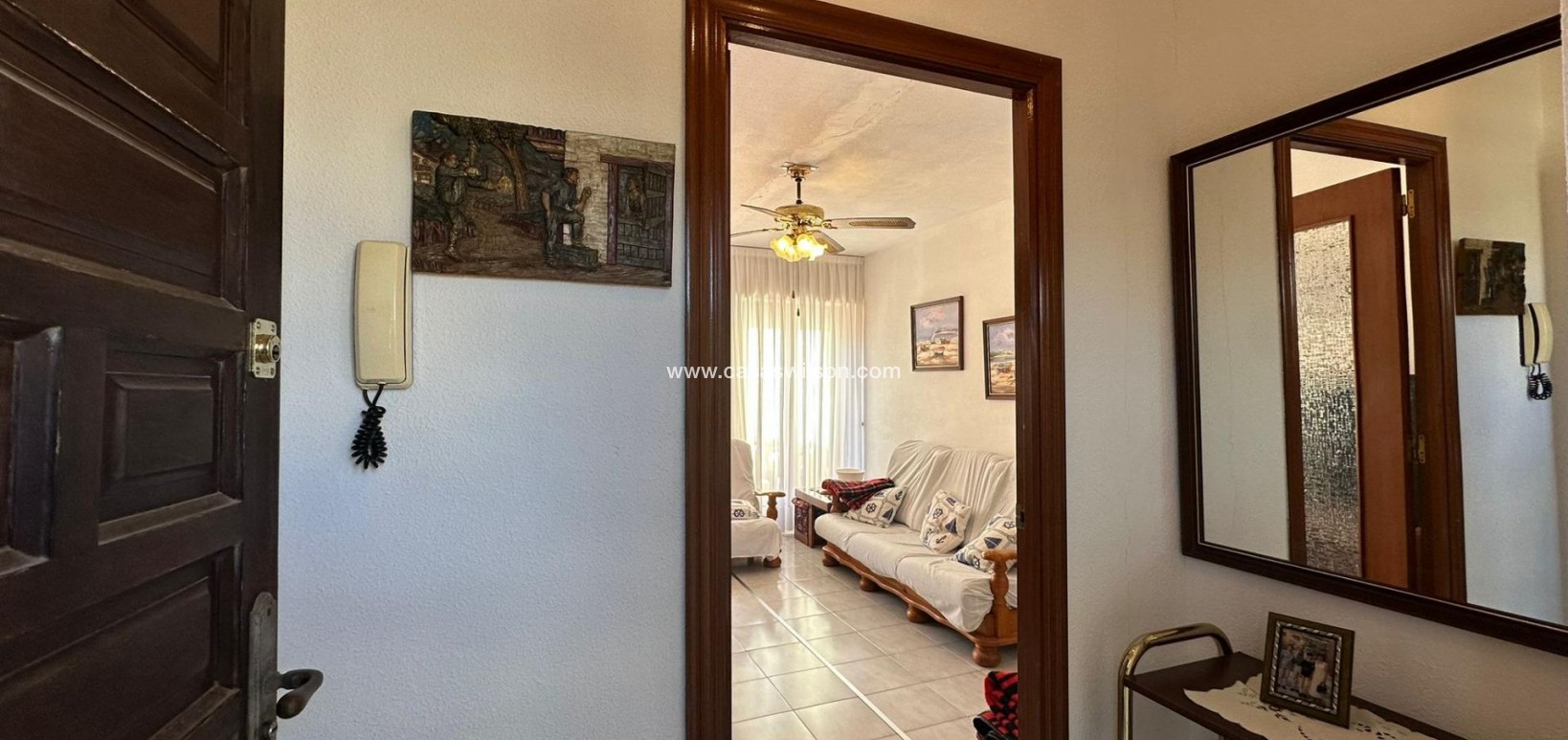 Venta - Apartamento - Torrevieja - Estacion De Autobuses