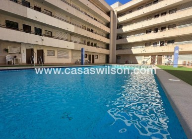 Venta - Apartamento - Torrevieja - Estacion De Autobuses