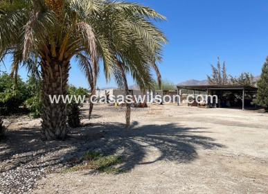 Sale - Villa - Crevillente - Inland