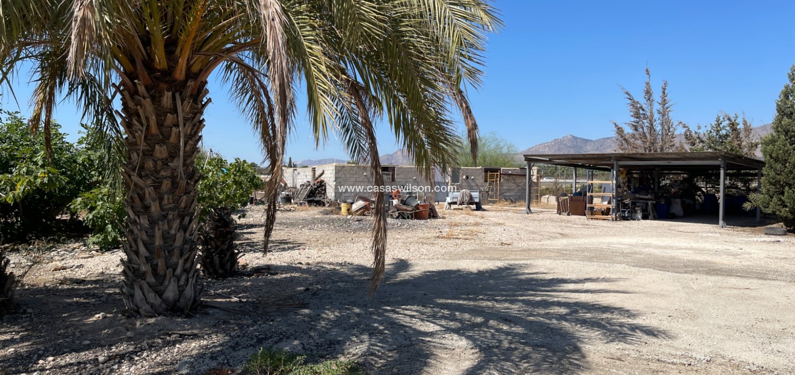 Sale - Villa - Crevillente - Inland