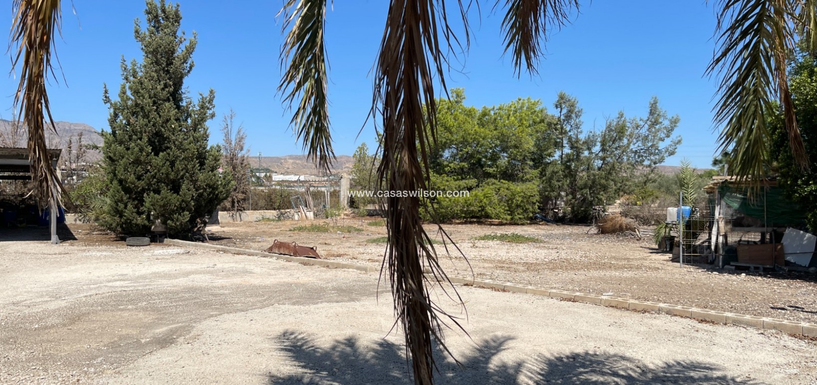 Sale - Villa - Crevillente - Inland