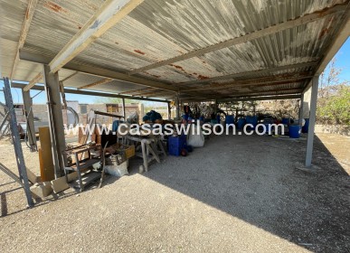 Sale - Villa - Crevillente - Inland