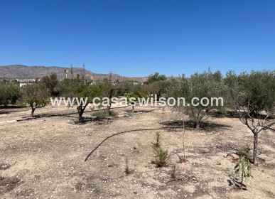 Sale - Villa - Crevillente - Inland