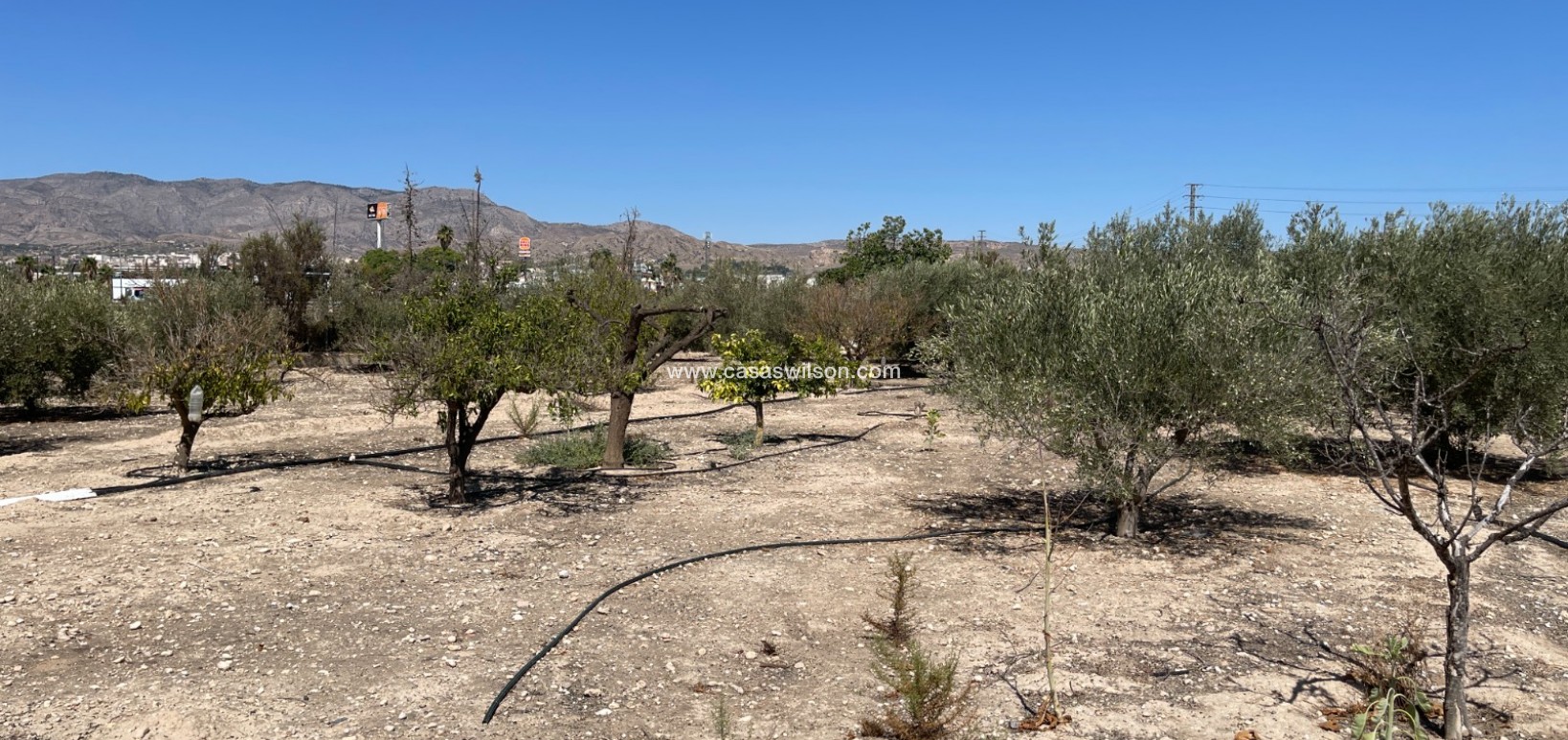 Sale - Villa - Crevillente - Inland