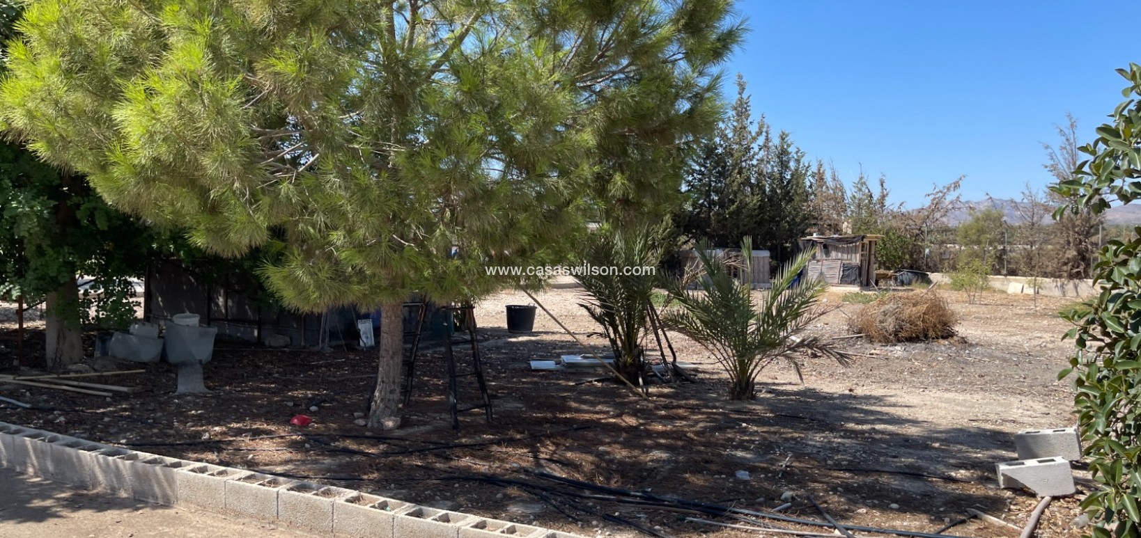 Sale - Villa - Crevillente - Inland