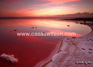 Venta - Apartamento - Torrevieja - La Siesta