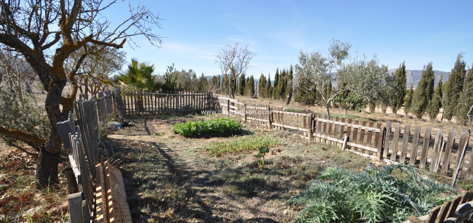 Sale - Villa - Salinas - Inland