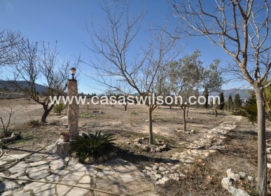 Sale - Villa - Salinas - Inland