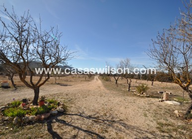Sale - Villa - Salinas - Inland