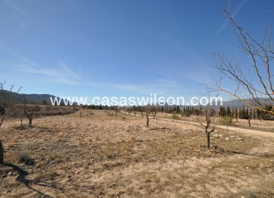 Sale - Villa - Salinas - Inland