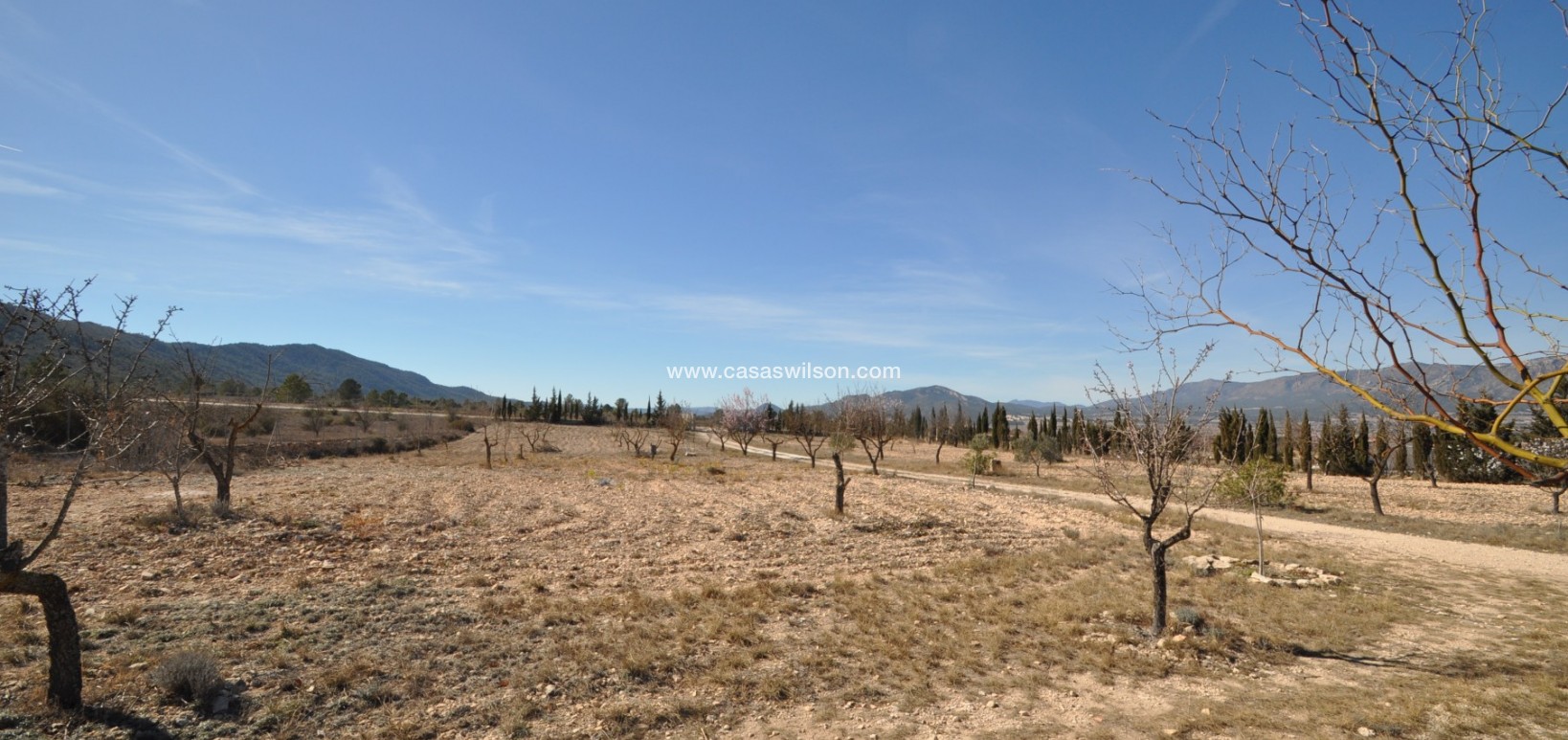 Sale - Villa - Salinas - Inland