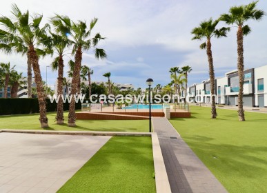 Venta - Apartamento - Guardamar del Segura - Guardamar - El Raso