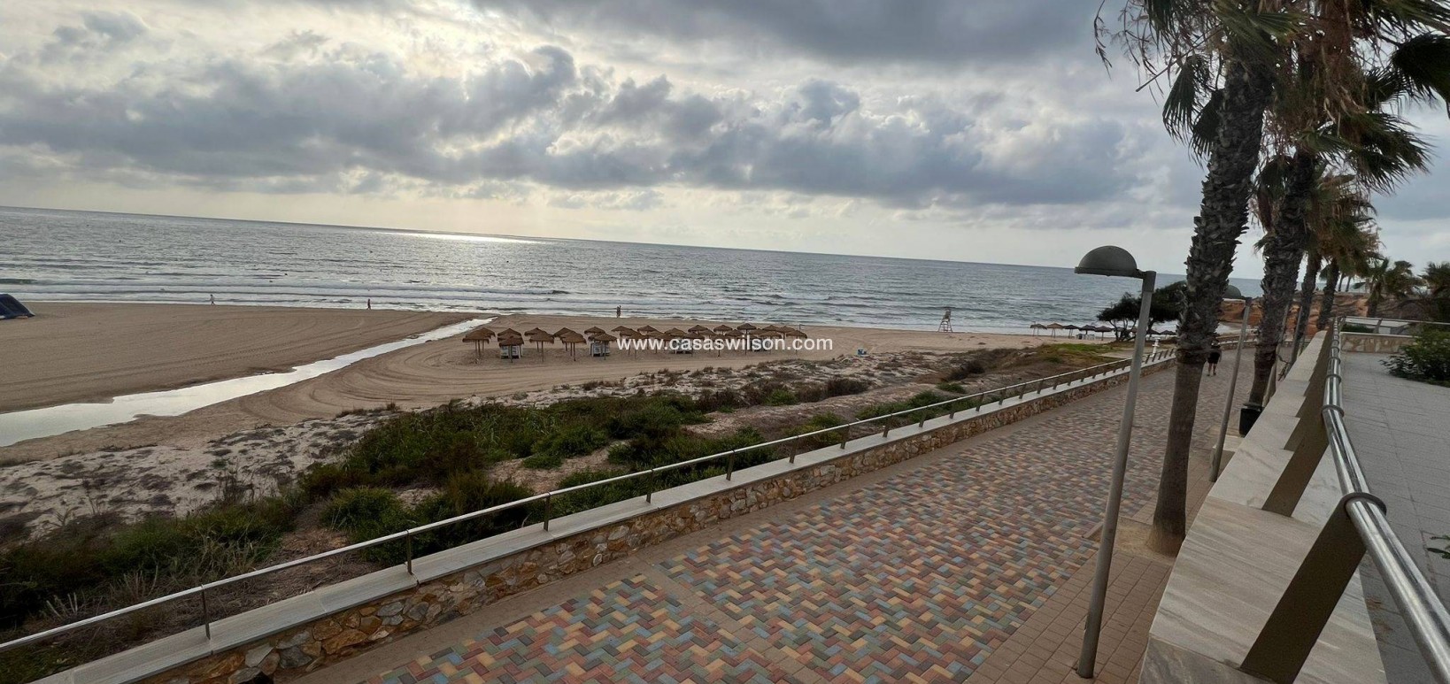 Sale - Appartement - Pilar de la Horadada - La Torre de la Horadada