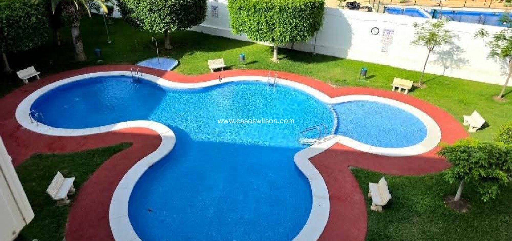 Sale - Apartment - Torrevieja - Acequion