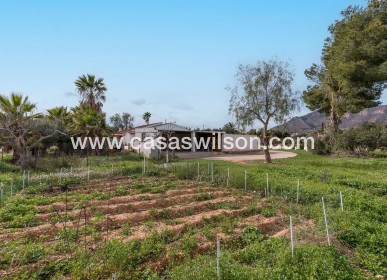 Sale - Villa - Hondón de las Nieves - Inland