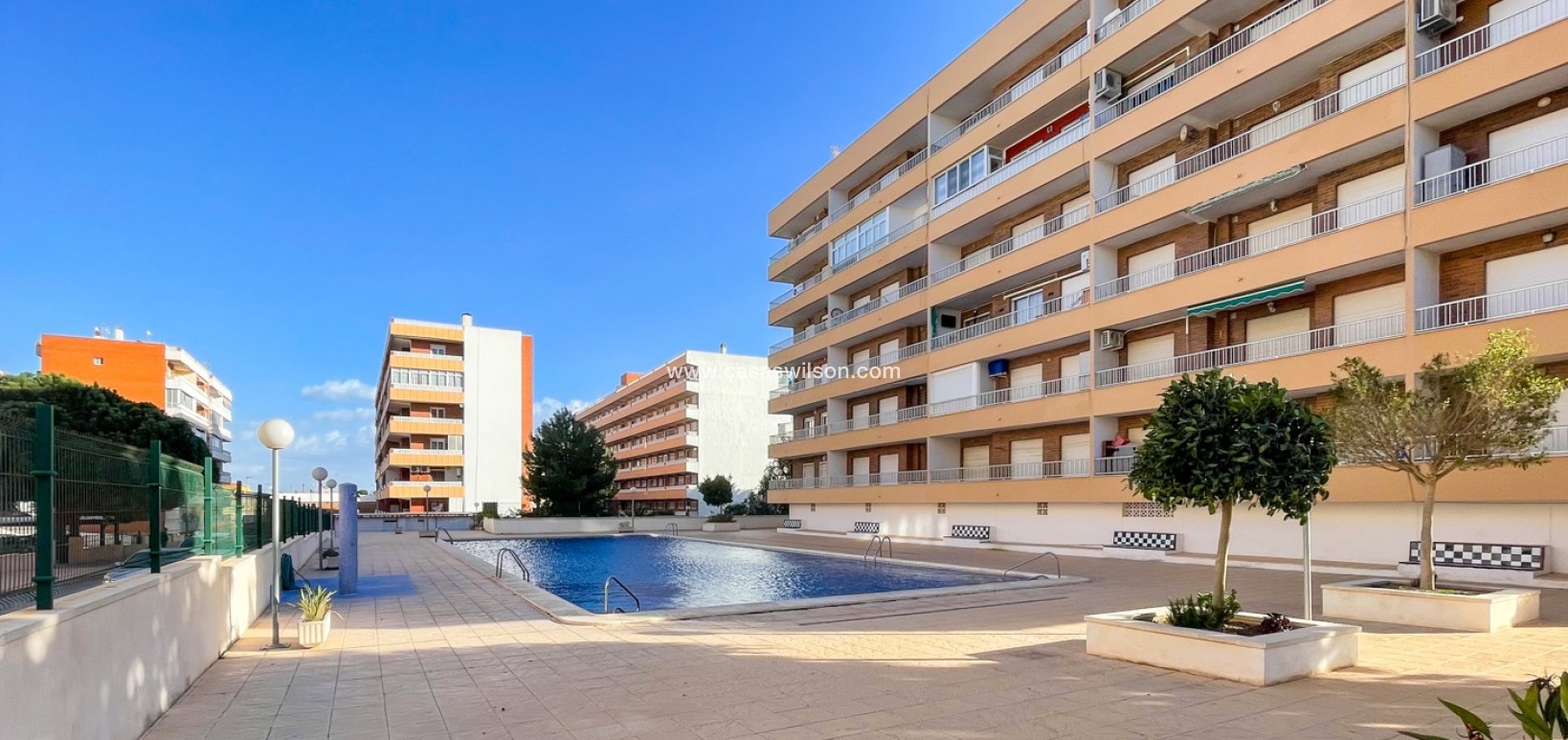 Venta - Apartamento - Orihuela Costa - Punta Prima