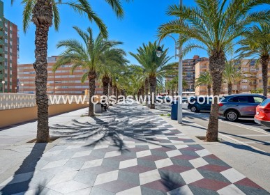 Venta - Apartamento - Arenales del Sol - Segunda linea playa