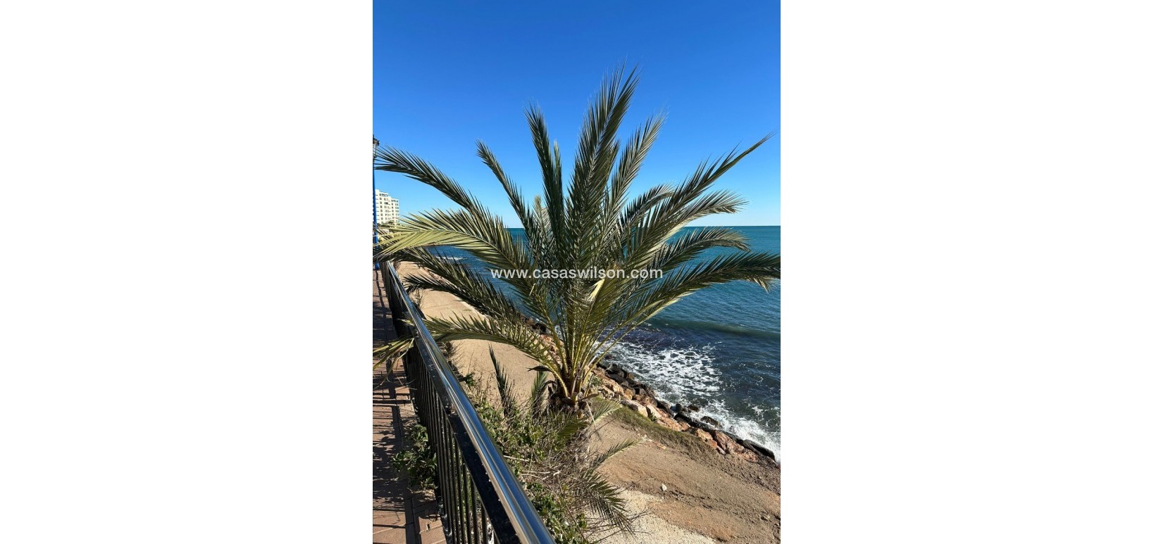 Venta - Apartamento - Punta Prima - Costa Blanca