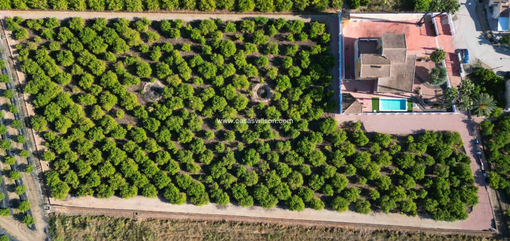 Sale - Country Property/Finca - Orihuela