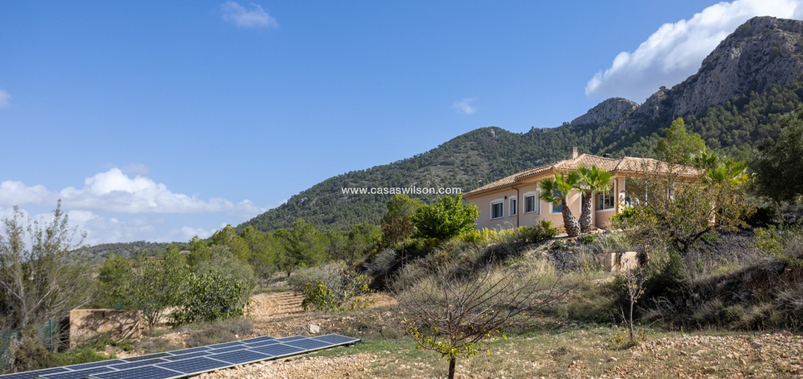 Venta - Independent villa - La Zarza - La Zarza Murcia