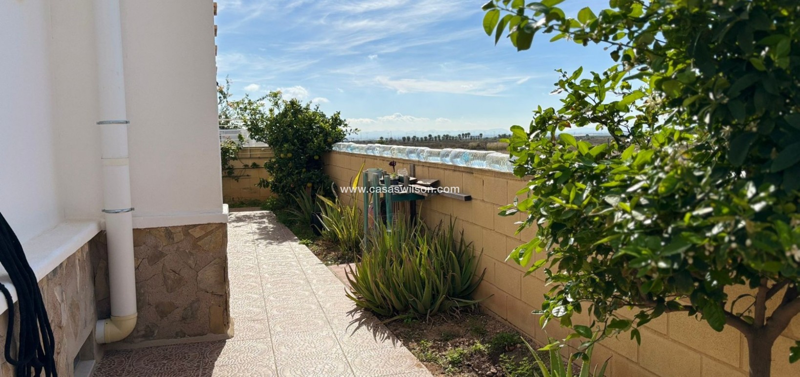 Sale - Villa - Torre Pacheco - Sierra Golf - Balsicas