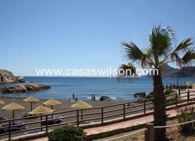 Nueva construcción  - Adosado - La Union - centro