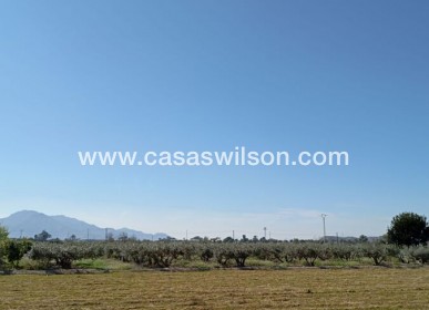 Sale - Townhouse - Catral - Costa Blanca