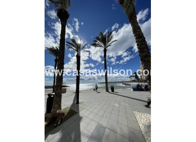 Venta - Apartamento - Torrevieja - Playa de cura