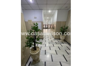 Venta - Apartamento - Torrevieja - Playa de cura