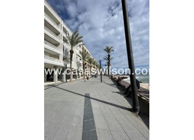 Venta - Apartamento - Torrevieja - Playa de cura