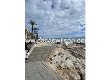 Venta - Apartamento - Torrevieja - Playa de cura