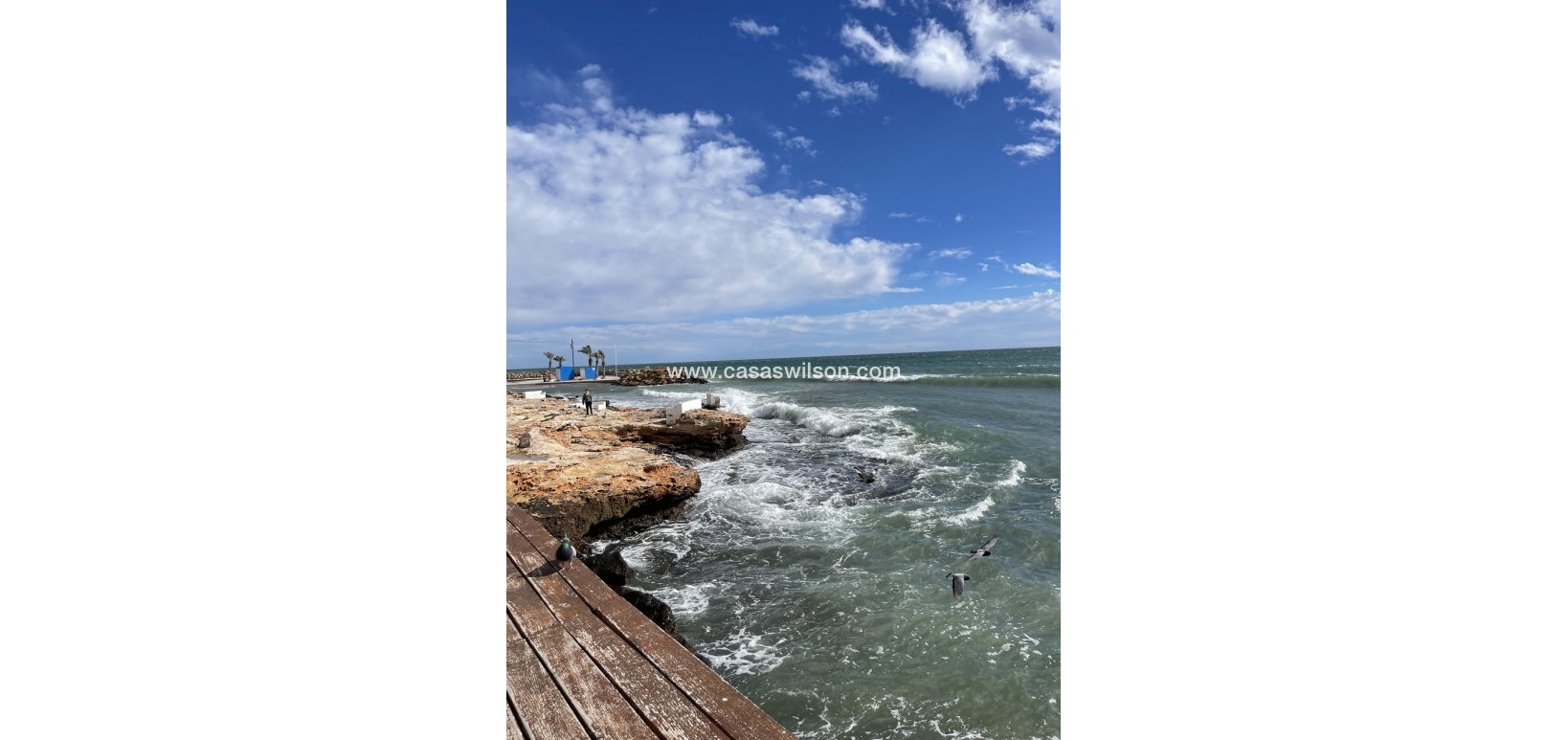 Venta - Apartamento - Torrevieja - Playa de cura