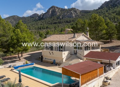 Sale - Villa - Detached - La Zarza