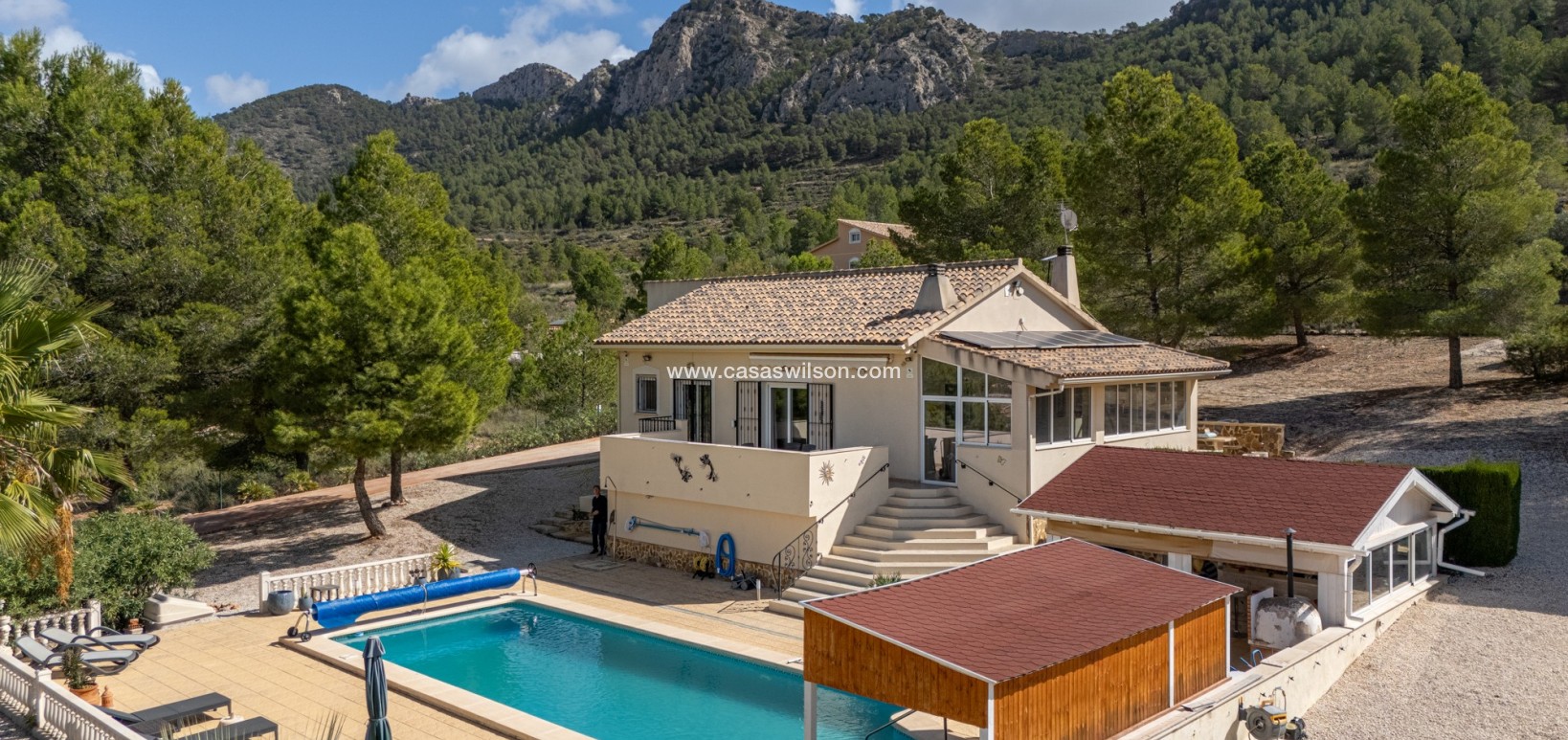 Sale - Villa - Detached - La Zarza