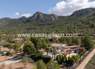 Sale - Villa - Detached - La Zarza