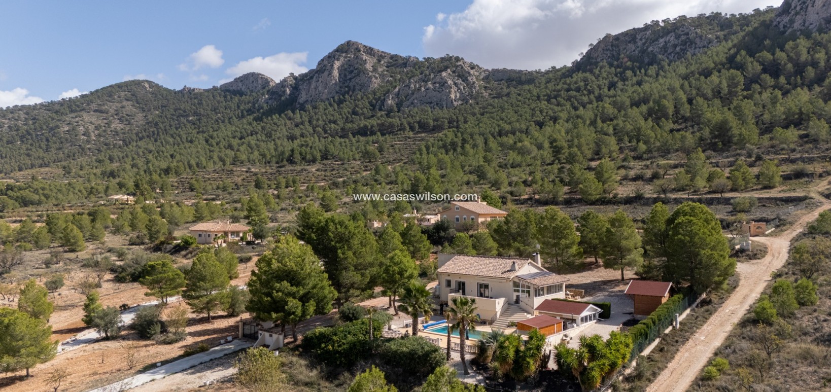 Sale - Villa - Detached - La Zarza