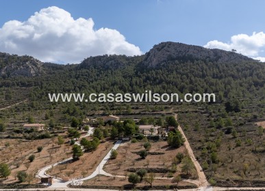 Sale - Villa - Detached - La Zarza