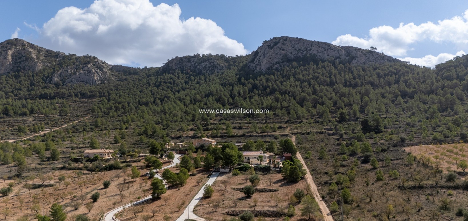 Sale - Villa - Detached - La Zarza