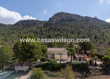 Sale - Villa - Detached - La Zarza