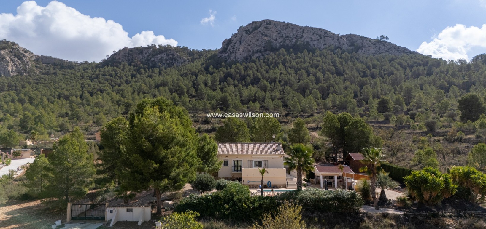 Sale - Villa - Detached - La Zarza