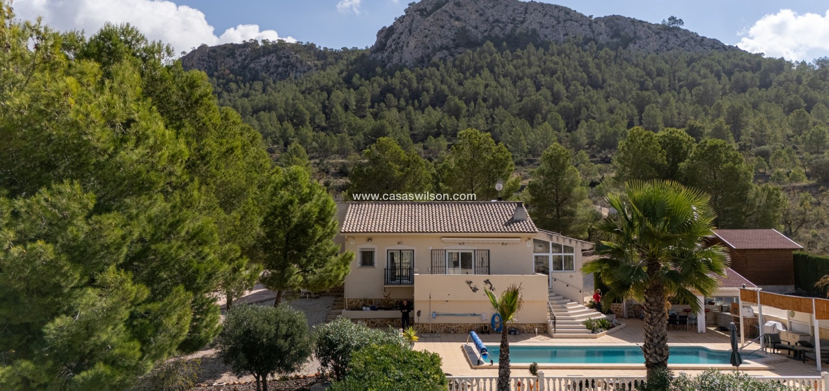 Sale - Villa - Detached - La Zarza