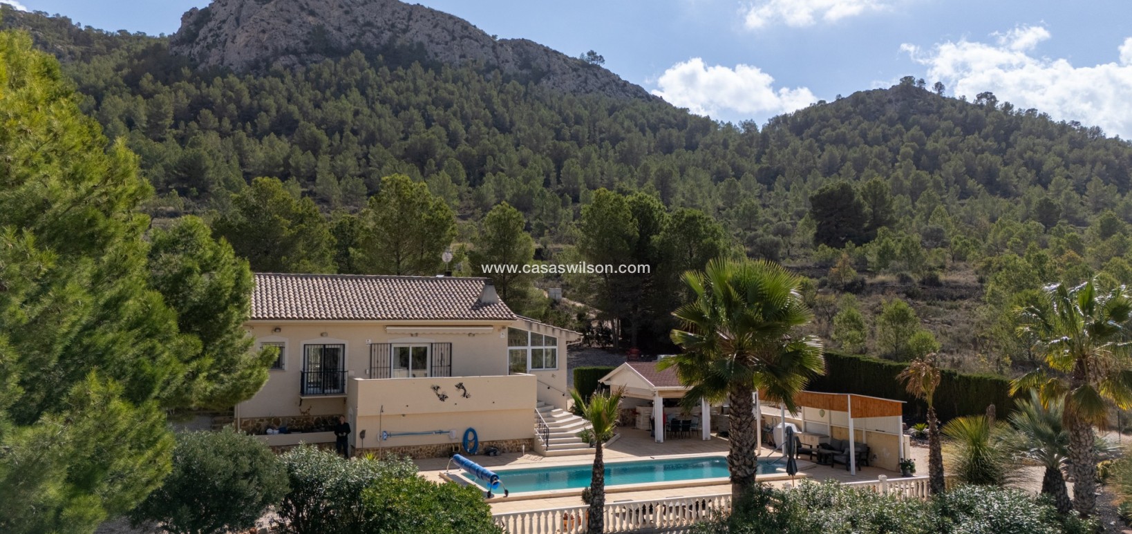 Sale - Villa - Detached - La Zarza