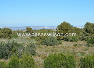 Venta - Apartamento - San Miguel de Salinas - Inland