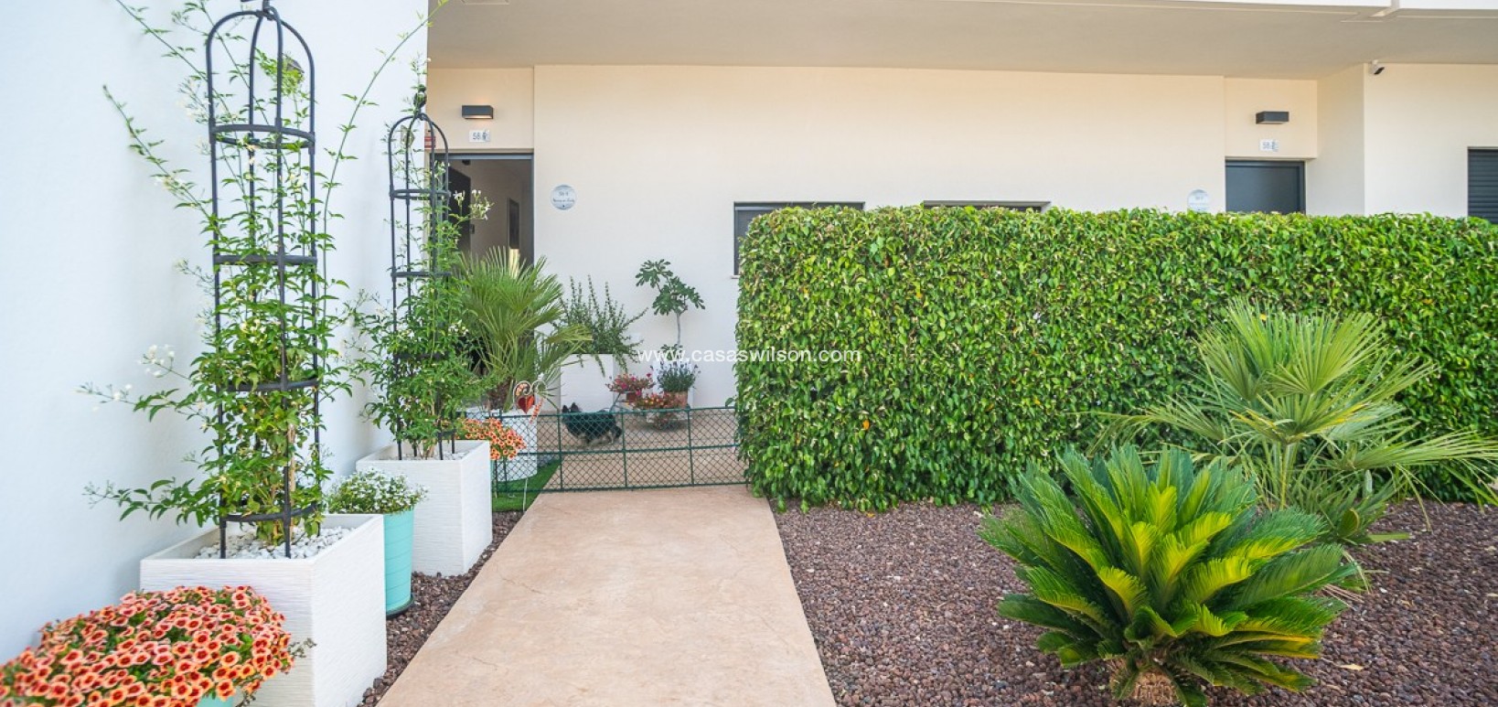 Venta - Apartamento - Pilar de la Horadada - Costa Blanca